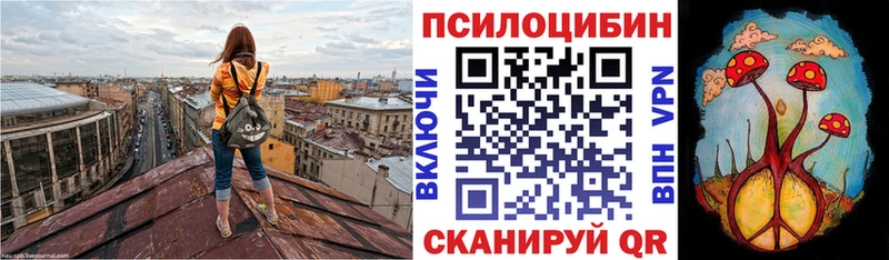 Галлюциногенные грибы Cubensis  Пласт 